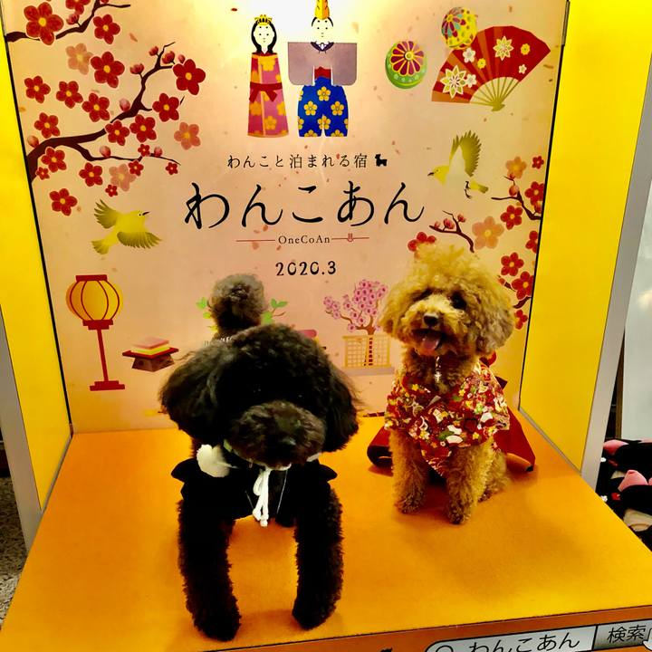 6f6ecef8 56cf 42db 8866 de6e9476a92a 1614747956516