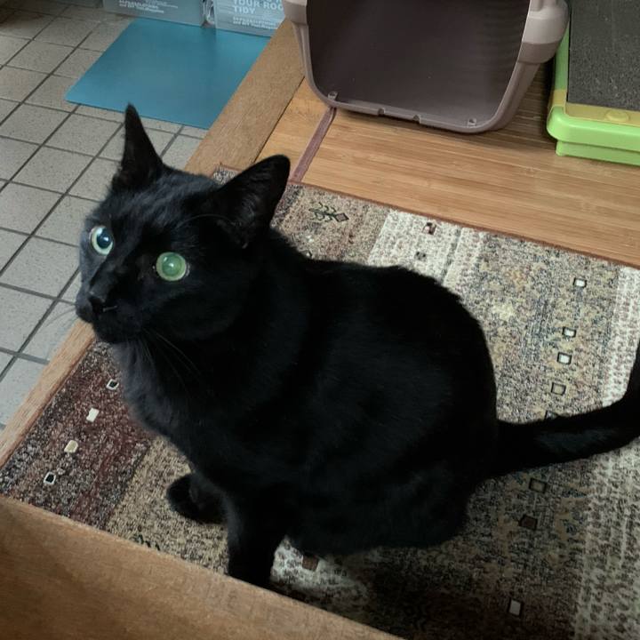 6f6eff42 0106 4e96 a186 8c8ca3f0f4d9 1582420862938