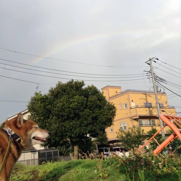 6f6f487c e2ec 446b 89fb 1f87c6e906b8 1565859188345