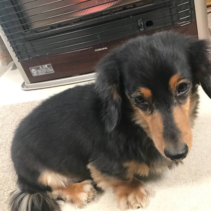 6f6fc51d 938a 4822 ab07 f3302f16fd7e 1512338690170