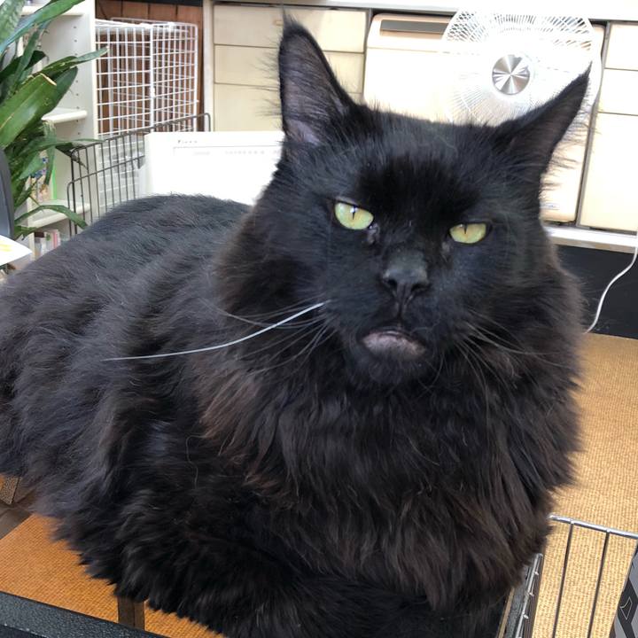 6f6fef3d f9a7 4550 899f 21d81da14d30 1544239859431