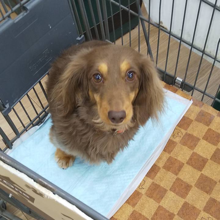 6f6ff4e3 bcfa 4fb0 b5f0 969cc0f4db18 1548475468964