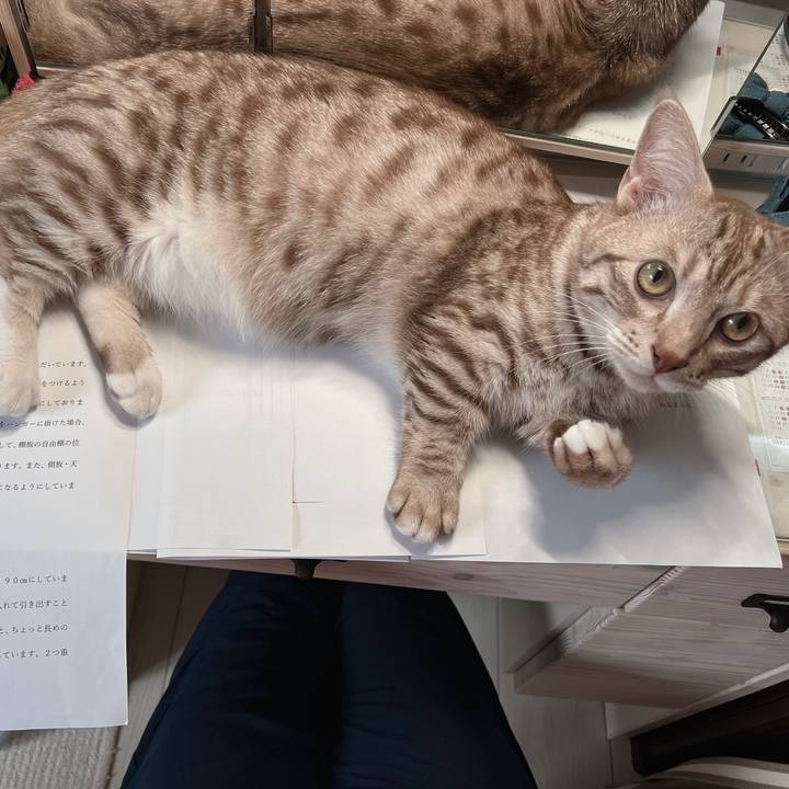 6f6ff63d 72af 4020 9ad1 83d3055c1675 1659653409004