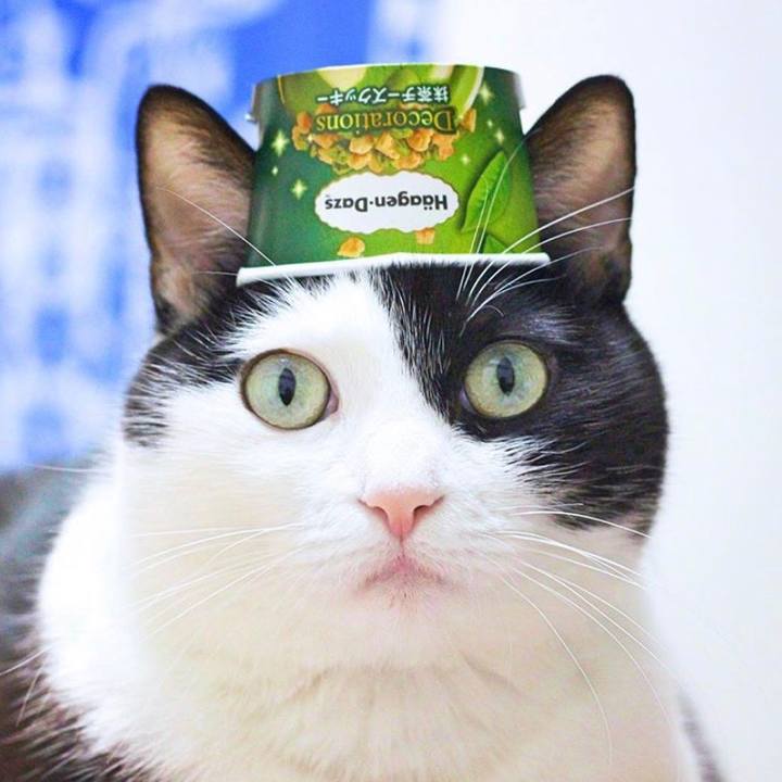 6f7012d9 a004 4040 93c5 02991c1f7a29 1570193171618