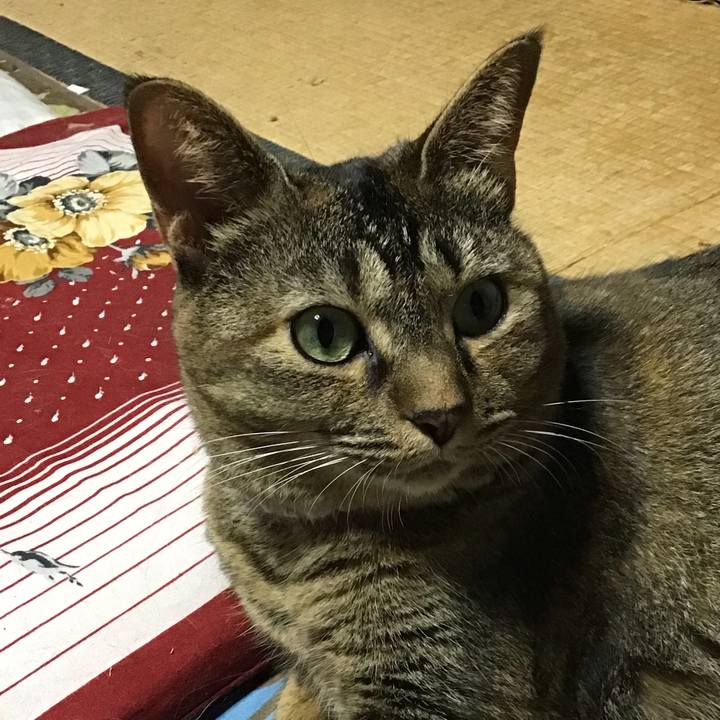 6f7077ac 1381 4791 a443 a705f4bbab06 1665747075991