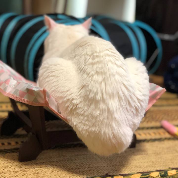 6f70b9e1 b4fb 4895 9768 5b61b3fbc261 1549854601467