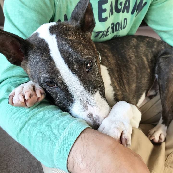 6f70c7ca 511d 4586 9d1d 7891a9687db0 1512277274403