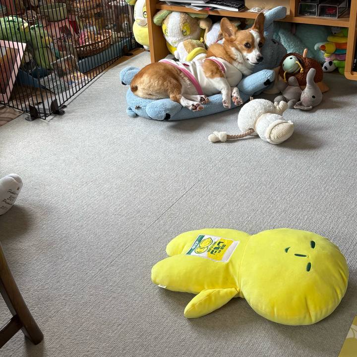 6f711b6c e44f 406b a941 6c5924984431 1772767552569