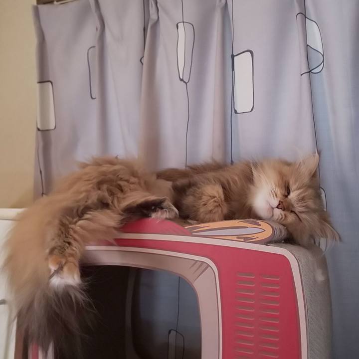 6f712ca9 6581 4692 9558 507ac864d4f4 1620690853191