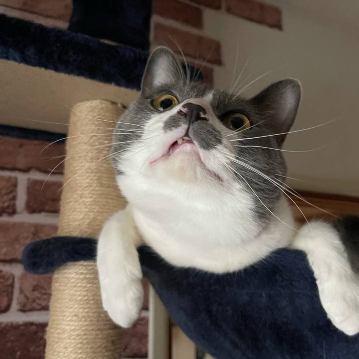 6f716935 3288 4865 8a4c 6a823d26f9e1 1631603892602