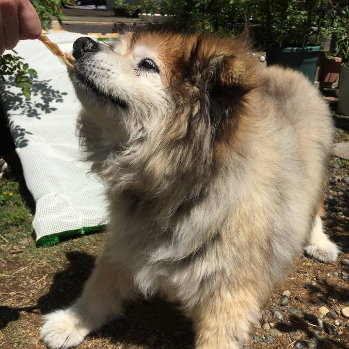 6f717c87 7c37 4423 926b f0a9915d3668 1556769384747