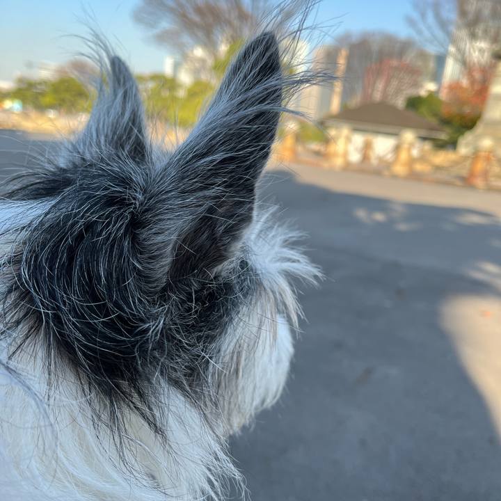 6f718183 b162 4e5c 8515 e2cf065c2e51 1639198153047