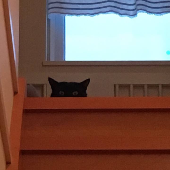 6f71a65f ee62 4990 9c6d 6f43328d1171 1536317077916