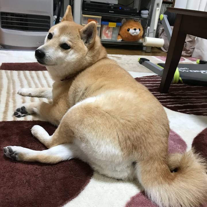 6f71b6b2 a966 4a2f a53a 034809345f0f 1521424488153