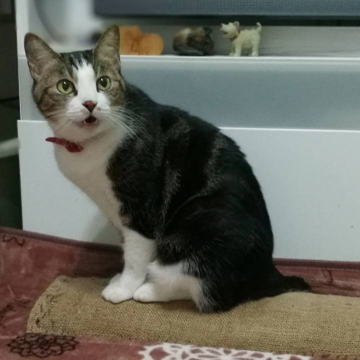 6f71dd6c b687 44be a64c ad35cbf508ed 1516876890262