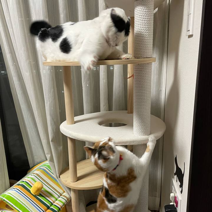 6f71e36f c4b2 4e6d a317 c142916c6819 1613998480113