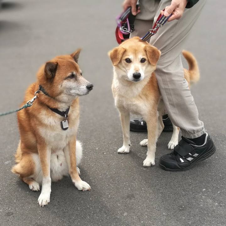 6f71f046 aea8 4c0f be88 e2c609415f48 1555214697842