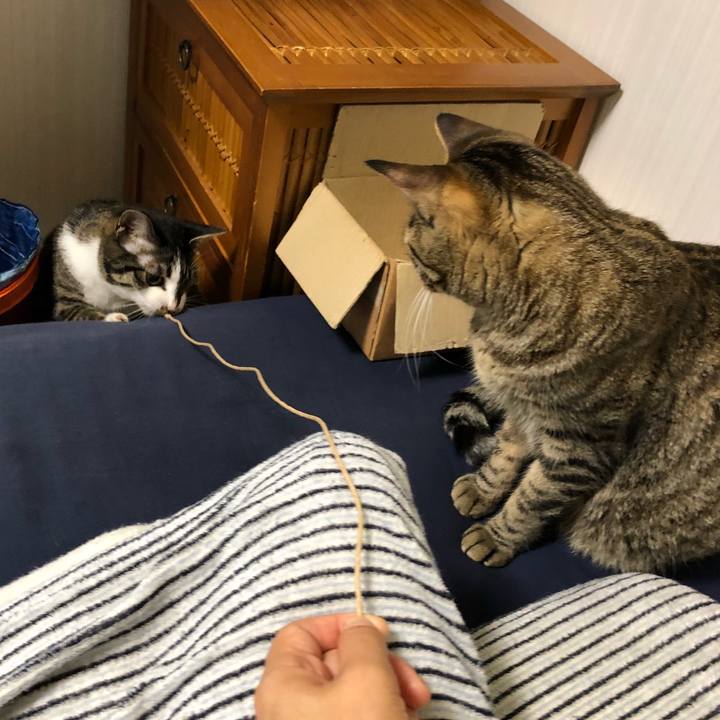 6f721939 c9c2 4bc7 b394 c9cd0552500e 1530846705723