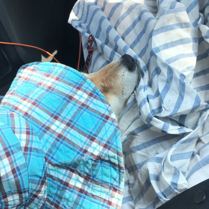 6f7229b1 d0b0 4d77 a25b 7b0e5d31585f 1596958328844