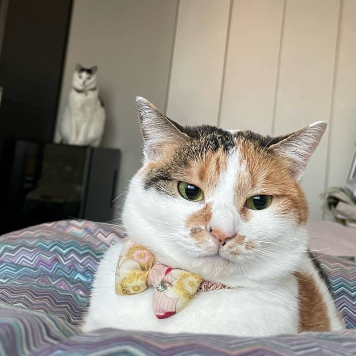 6f726b1e 85bf 48e3 a0de 8d2f8c372467 1643848588411