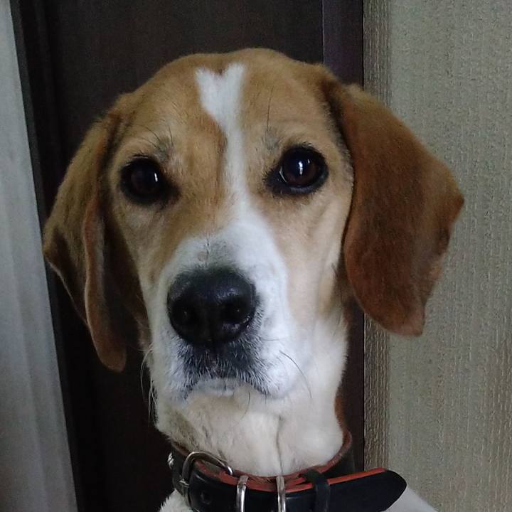 6f726e37 8bf4 4dc4 bba3 1a233ecb7b47 1643723609765