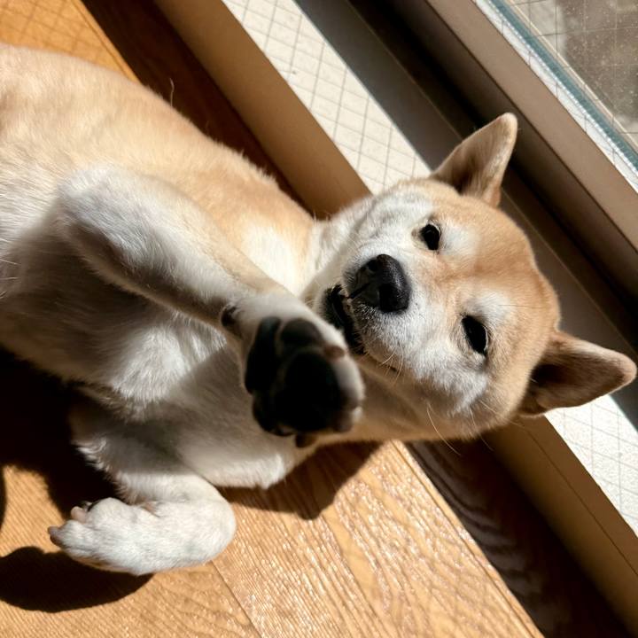 6f72b3cf c785 4960 9f64 c6faa08d5a2e 1774055219892