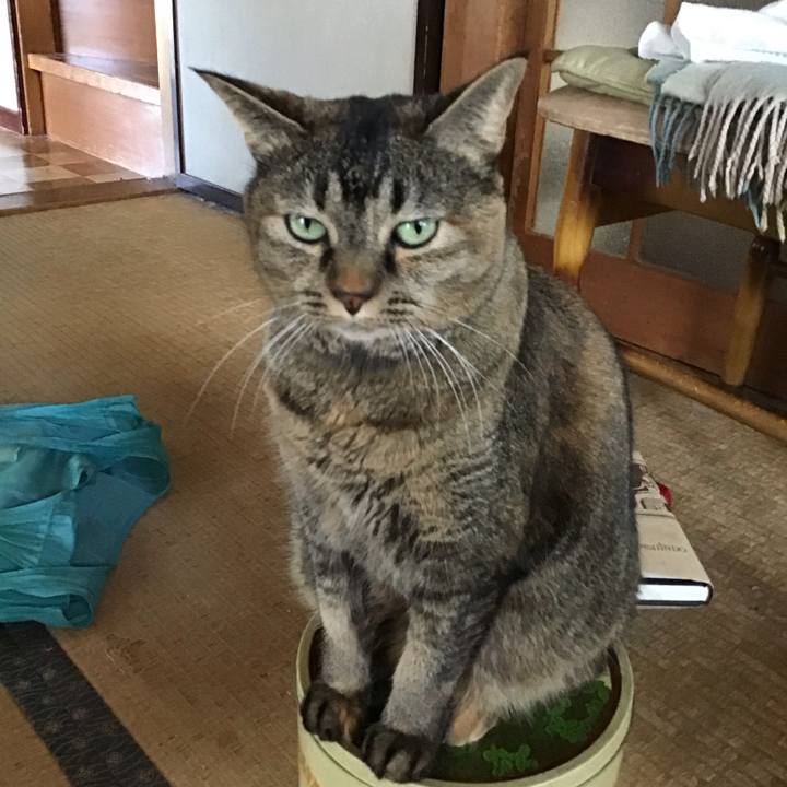 6f72b7fa 6e72 424c 8676 05920e874d85 1760759589525