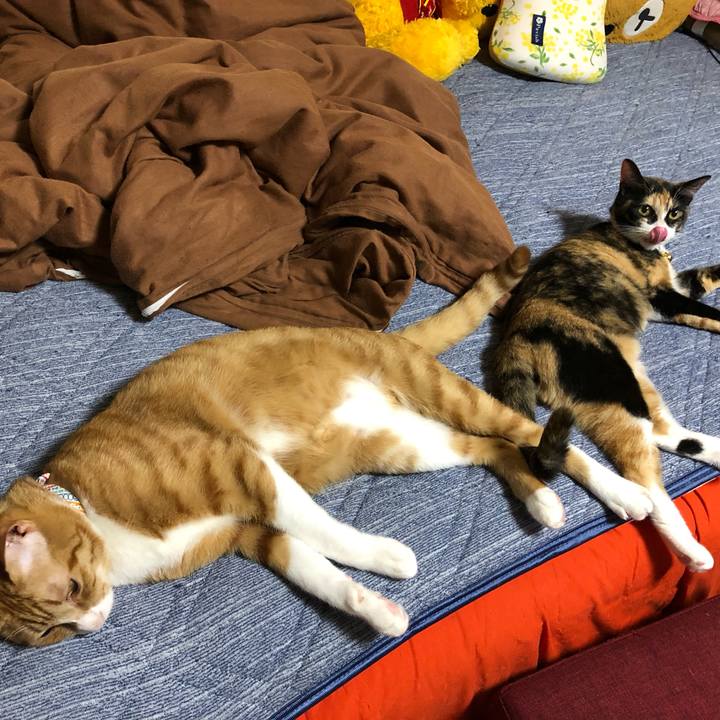 6f72f1b7 a202 4768 9d97 8efbb57bb296 1565614002113