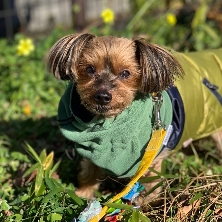 6f735d7c 5916 4bef b77b a3f19050f5b0 1640054684185