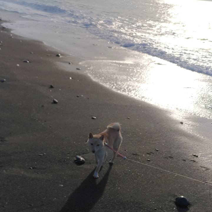 6f737149 4740 4d98 8a2d a626a3e25c86 1517217436167