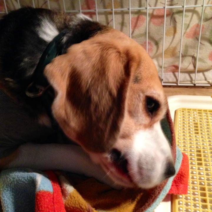 6f738c79 1d3c 4f4d 9fe8 bef50c9305d9 1741730842935