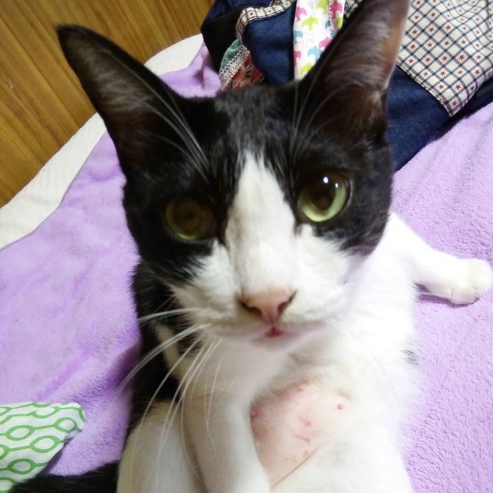 6f739a08 682b 4d1b 9497 bc027edafbb7 1507728808869