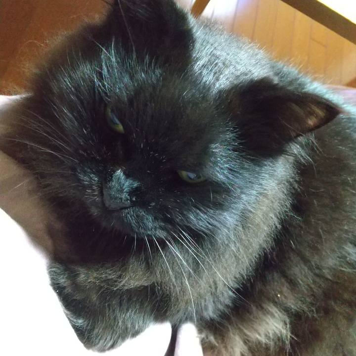 6f73b8f5 bd24 4cdb 8b2e 111346835bc2 1686309776738