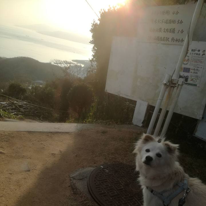 6f73d3cd 0585 4f6a 94d8 b3f791443b2c 1516364433074