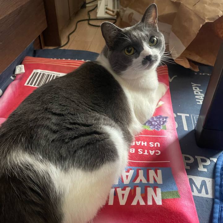 6f73f7a0 3c30 4565 9500 2942d7fb266b 1721517839957