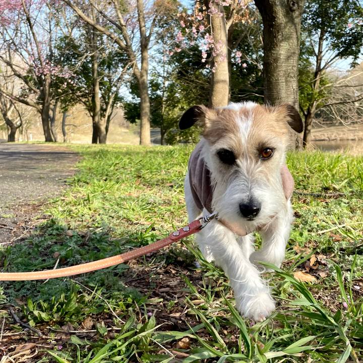 6f741b57 70ea 4bcd 8109 c9bb21df8a49 1678797521698