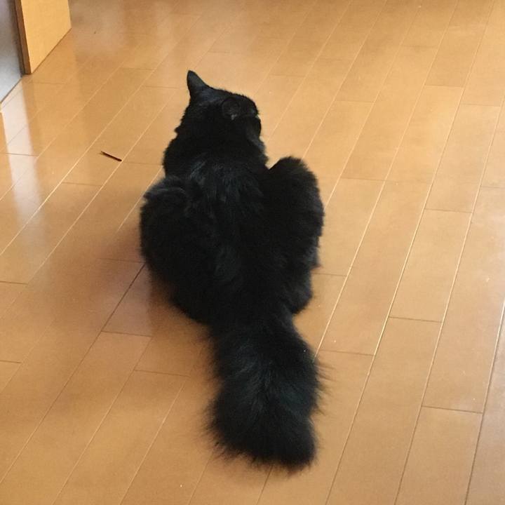 6f742c2c 96c3 4f1c bbb3 7568a14d67b0 1532240964465