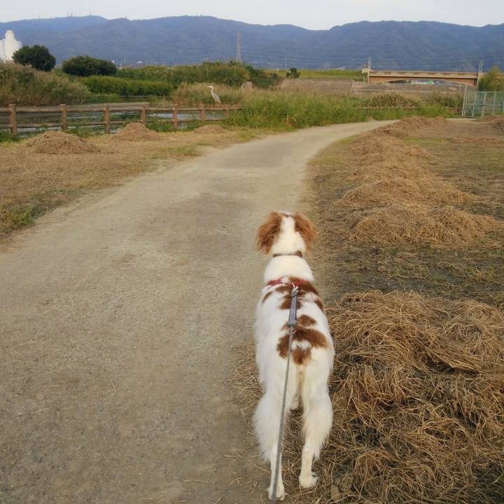 6f74398e 7833 4813 a34d fdcb0a457322 1539592310399