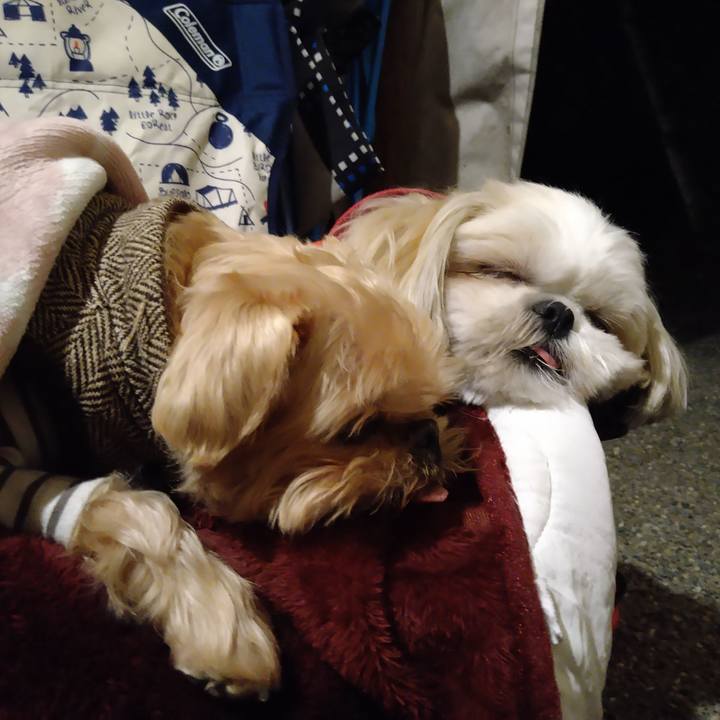 6f745ae7 4f9a 4b5a 8c26 a25a1fa2cbfe 1635076873155