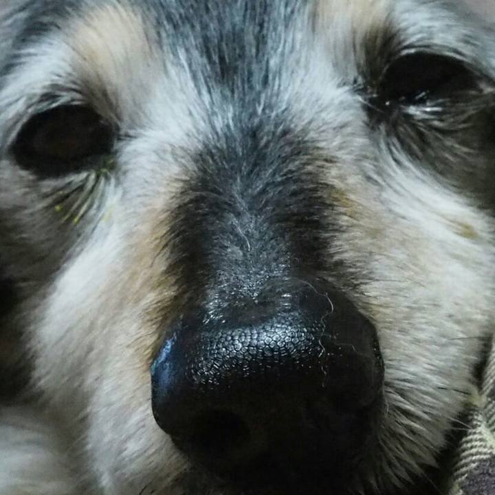 6f746edd 24d5 445d 8bf9 84ada63446b0 1523454771812