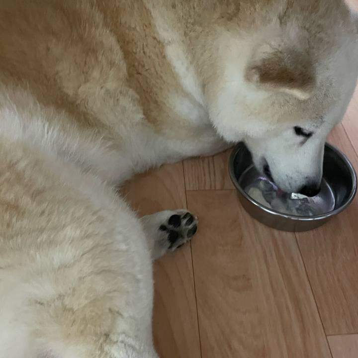 6f7472da 7bfd 46b1 956d 1e57e307e3e8 1646264151021