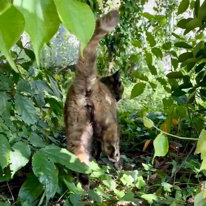 6f747882 aaba 49fc 84da 586a4b9af5c7 1752369721720