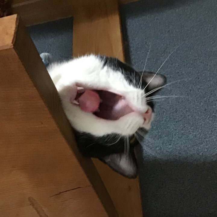 6f748eb3 0032 4b2d 93f6 57e13127879d 1661945021746