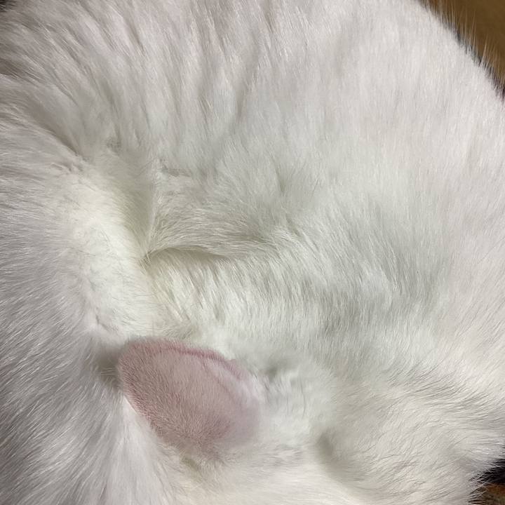 6f74a11f c353 4bef 84ba b5c8e3d375ae 1666929811098