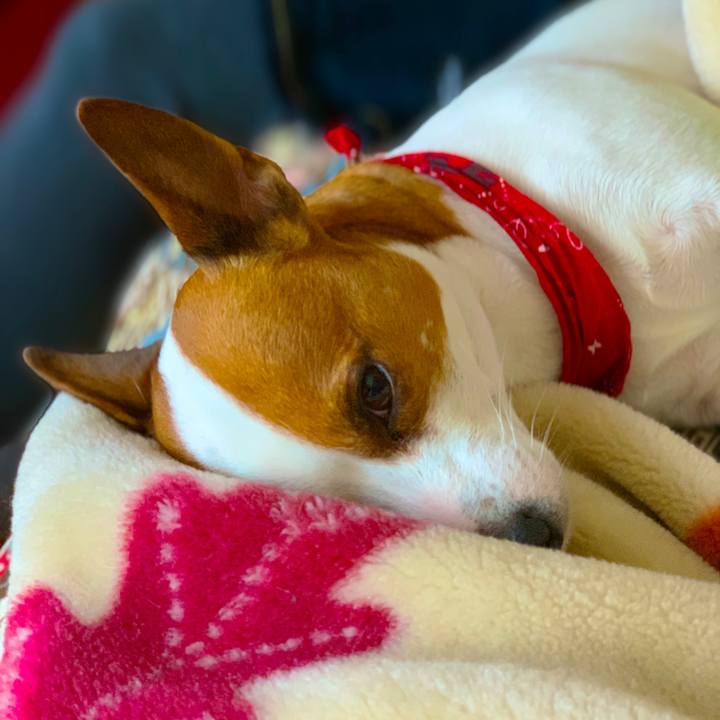 6f74d308 84ae 4065 a71f 669a685f8307 1542444777205