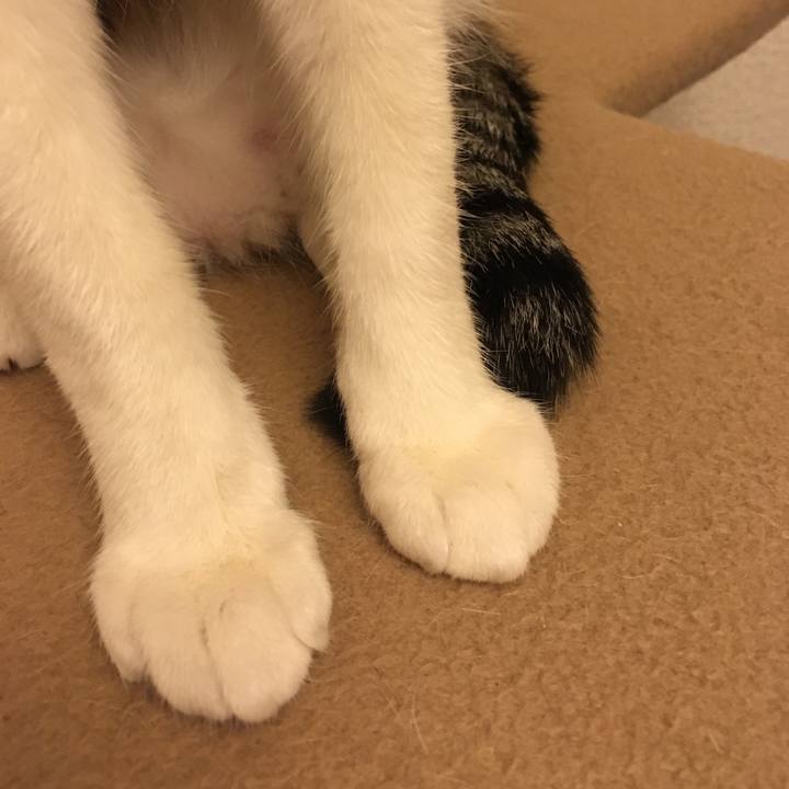 6f74da0d fe42 415c 9d80 15355c213ca5 1508990640104