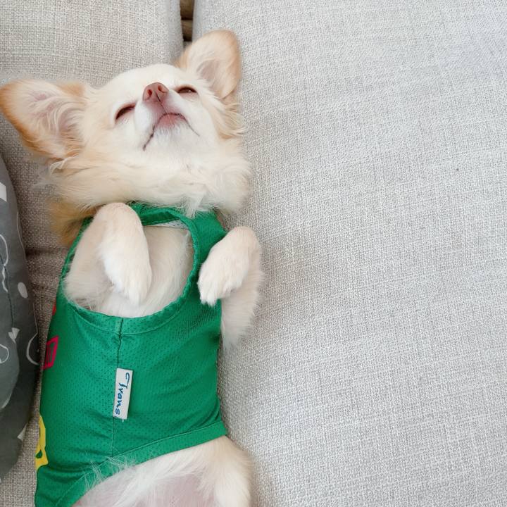 6f752782 2b16 4c13 ba58 aa076cc333b5 1721020788323