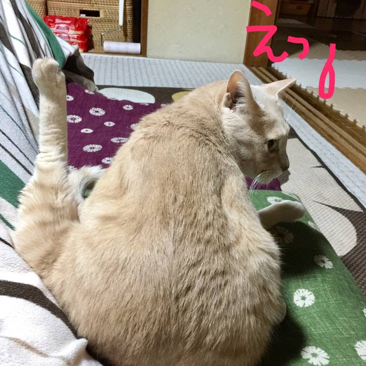 6f758c98 24cb 4da6 bd70 8719efbc0148 1508755932181