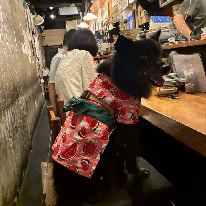 6f75a8a2 4df1 42c9 a0a7 6d7d45fb35f9 1758379387002