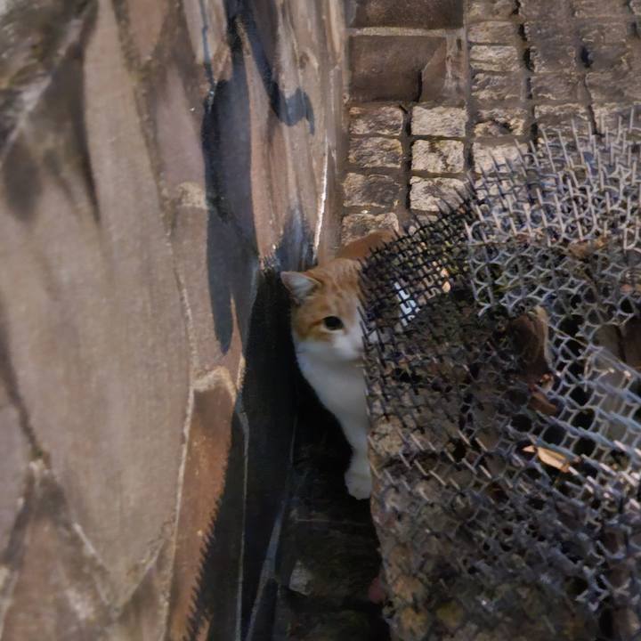 6f75a8dd 8ee4 4750 bb09 3a1ce08251d2 1709355784511